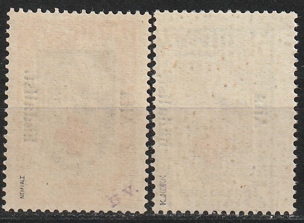 Aita hädalist 1923** garantiid Kokk Nemvaltz - Pilt 2