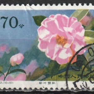 c-5 1979