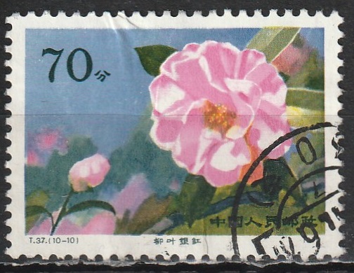 c-5 1979