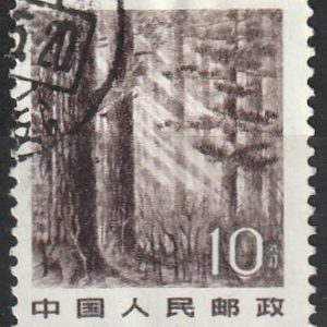 c-6 1981