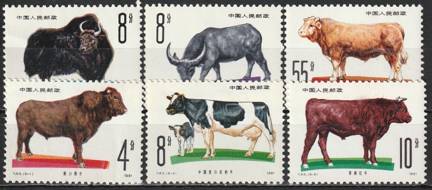 c-7 1981