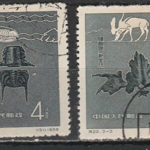 c-19 1958