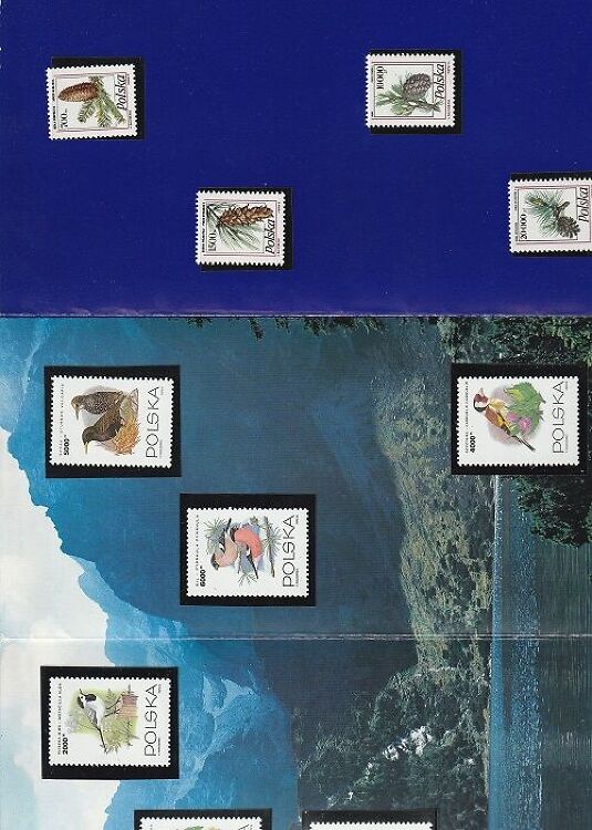 Poola margikomplekt/voldik 1991/93