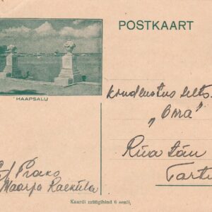 Tervikasi TP31