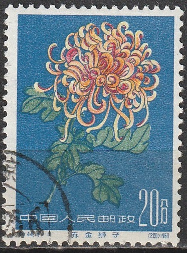 c2-3 1961 lilled