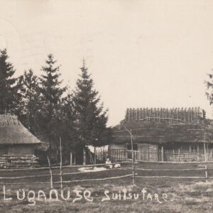 Lüganuse 1