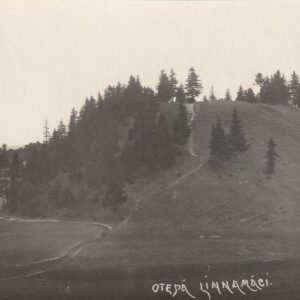 Maalinnad Otepää linnamägi 1