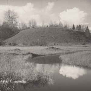 Maalinnad S-JaaniLembitu linnamägi 1