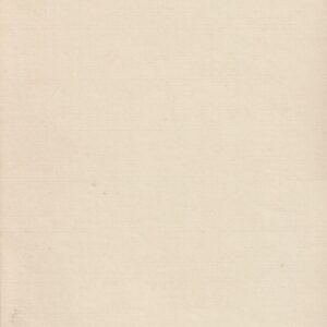 Alternative view of 29.09.1910.a. Peeter I ausamba avamine Heinaturul  1