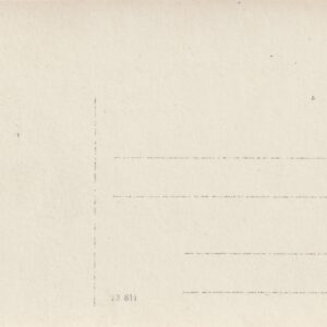 Alternative view of VIII üldlaulupidu 1923.a. Tallinnas 2