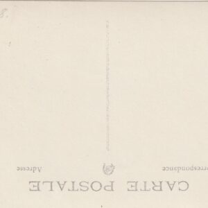 Alternative view of IX üldlaulupidu 1928.a. Tallinnas 2