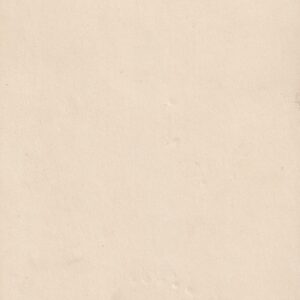 Alternative view of VIII üldlaulupidu 1923.a. Tallinnas 2