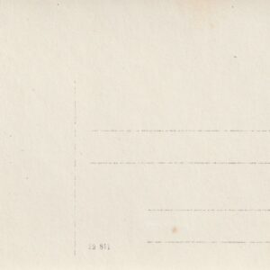 Alternative view of VIII üldlaulupidu 1923.a. Tallinnas 2