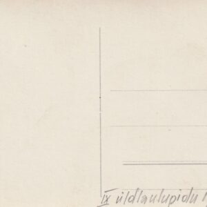 Alternative view of IX üldlaulupidu 1928.a. Tallinnas 1
