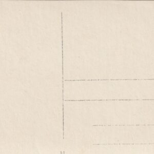 Alternative view of Viru Ingeri ühine laulupidu Narva-Jõesuus 1923.a. 2