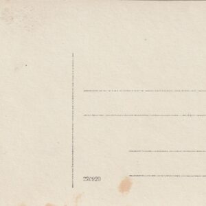 Alternative view of Viru Ingeri ühine laulupidu Narva-Jõesuus 1923.a. 2