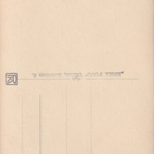 Alternative view of Tuvastamata laulupidu 2
