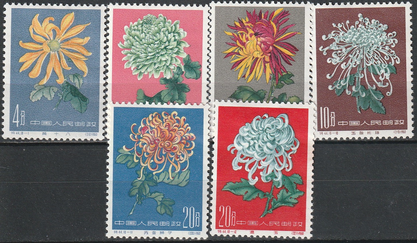 c2-5 1961*
