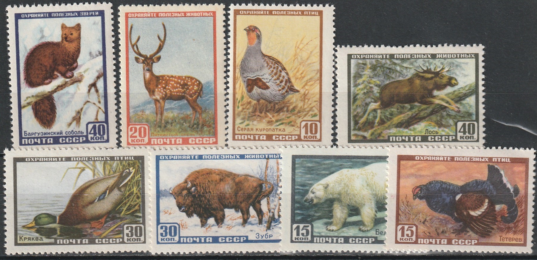 2-13 nl 1957