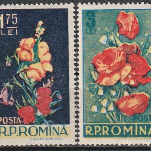1-4 Rumeenia 1956