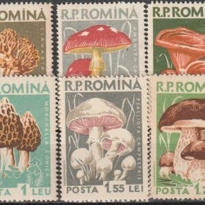 1-4 Rumeenia 1958