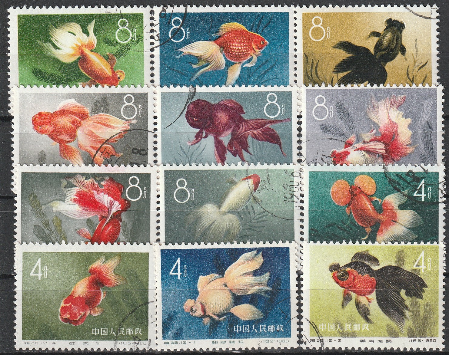 c2-5 1960 kalad
