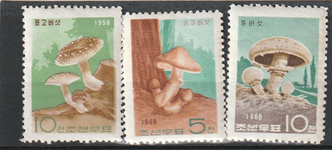 1-2 Korea 1968